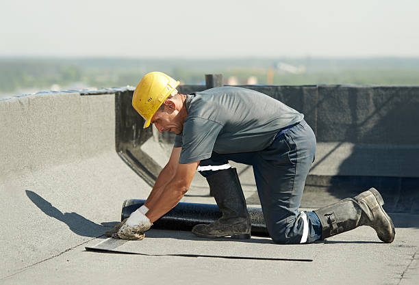 Best Types of Insulation in Walker, LA